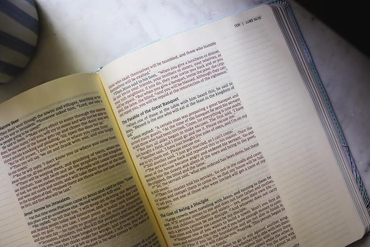 NIV, Journal the Word Bible (Perfect for Note-Taking), Leathersoft, Teal/Floral, Red Letter, Comfort Print: Reflect, Take Notes, or Create Art Next to Your Favorite Verses thumbnail 6