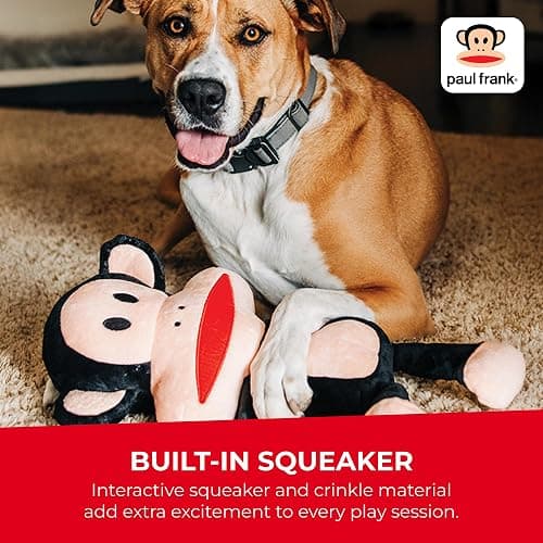 Multipet Paul Frank's Julius The Monkey Dog Plush Toy - Squeaky Toy for All Dogs - Extra Soft Plush - Stuffed Animal for Cuddling & Playing (10") thumbnail 4