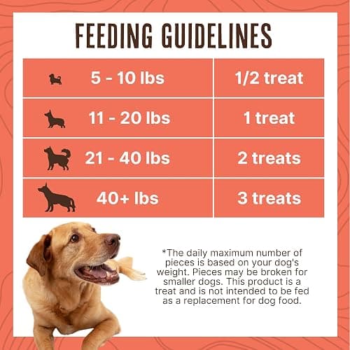 Waggin' Train Salmon Jerky Tenders for Skin & Coat Support for Dogs - 12 oz Pouch - Grain Free, High Protein Dog Treat thumbnail 6