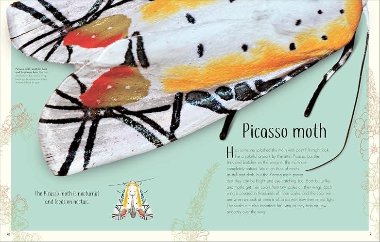 An Anthology of Remarkable Bugs (DK Children's Anthologies) thumbnail 5