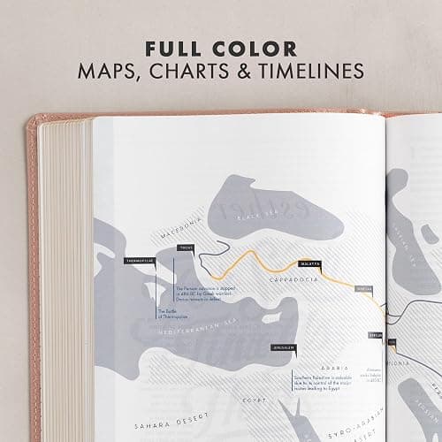CSB She Reads Truth Bible, Rose Gold LeatherTouch, Black Letter, Full-Color Design, Wide Margins, Journaling Space, Devotionals, Reading Plans, Single-Column, Easy-to-Read Bible Serif Type thumbnail 5