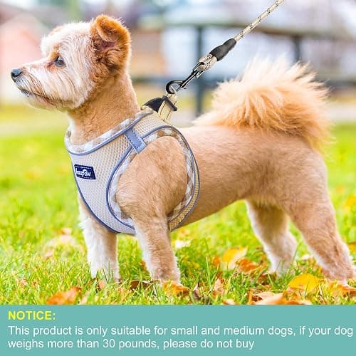 haapaw Dog Harness with Leash Set, No Pull Adjustable Reflective Step-in Puppy Harness with Thickened Padded Vest for Extra-Small/Small Medium Dogs thumbnail 4