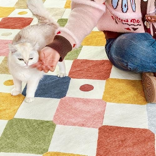 jinchan Macy 5x7 Area Rug for Kids Room Modern Colorful Checkered Diamond Nursery Rug Indoor Washable Soft Non Slip Carpet for Playroom Classroom Bedroom Dorm Daycare Living Room Circus on Cream thumbnail 5
