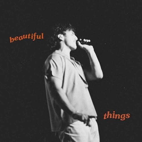 Beautiful Things - Image 1