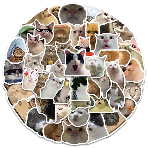 SEEYEON 50Pcs Cute Cat Stickers, Funny Cat Meme Vinyl Stickers Decals for Laptop Water Bottle Phone Luggage, Sticker Gift for Kids Teens Boys Girls, Cat Meme Stickers (SEEYEON) thumbnail 3