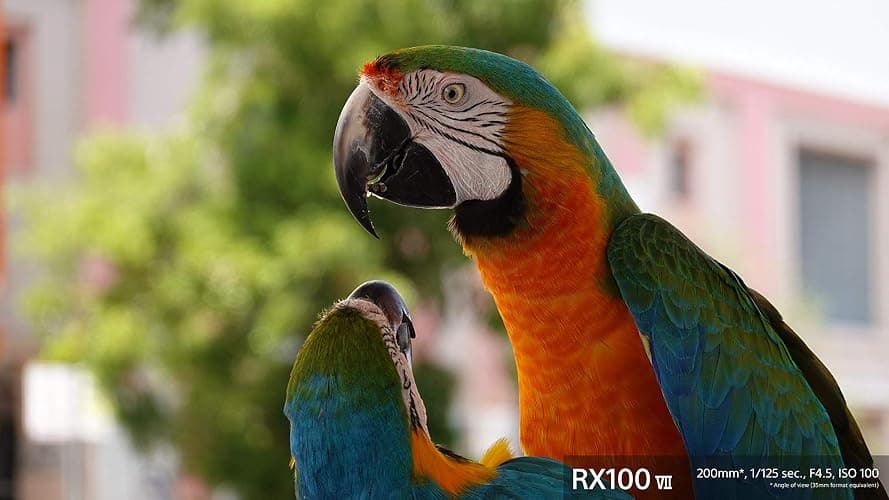 Sony RX100 VII Premium Compact Camera with 1.0-type stacked CMOS sensor (DSCRX100M7) thumbnail 16