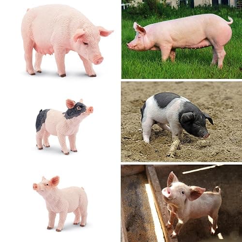 Toymany 8PCS Realistic Pig Figurines Set, Plastic Pig Figures Farm Animals Toys, Birthday Christmas Toy Gift for Kids Toddlers thumbnail 7