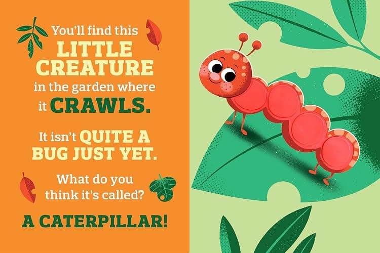 Backyard Bugs - Touch and Feel Board Book - Sensory Board Book (Touch & Feel Sensory Board Books for Baby & Toddler Time) thumbnail 5