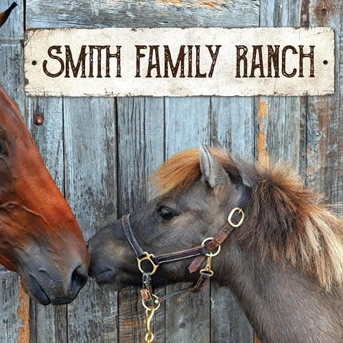 Rustic Custom Sign, Personalized Metal Signs, Gift for Him Men Dad, Man Cave, Indoor and Outdoor Use, 4x18 Inches, ACM, Fade Resistant, Made in the USA thumbnail 6