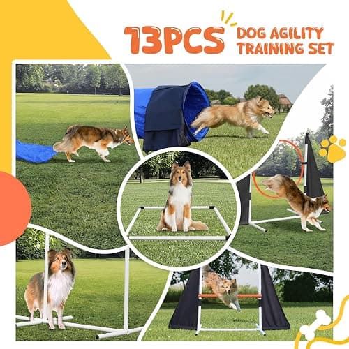 Agility Training Equipment for Dogs,Dog Agility Equipment for Backyard&Indoor Training-Professional Backyard Course with Adjustable Jumps,Collapsible Tunnel,Storage Bags&Toys (Blue, 13 PCS SET) thumbnail 2