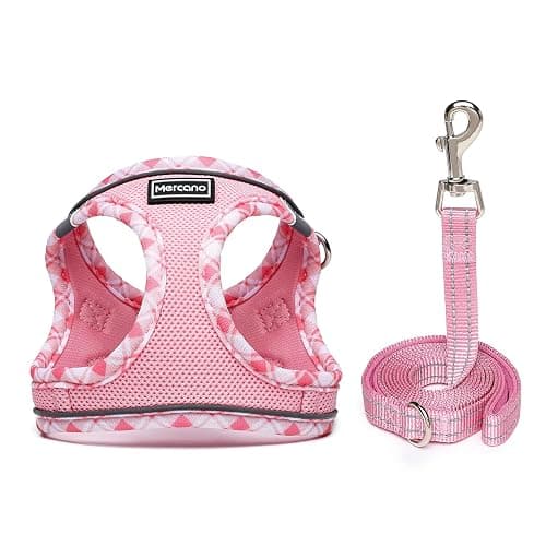 Mercano Soft Mesh Dog Harness and Leash Set, No-Chock Step-in Reflective Breathable Lightweight Easy Walk Vest Harnesses with Safety Buckle for Small Dogs, Cats (Pink, S) thumbnail 2