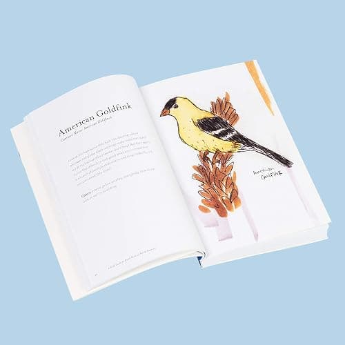 The Field Guide to Dumb Birds of North America (Bird Books, Books for Bird Lovers, Humor Books) thumbnail 6