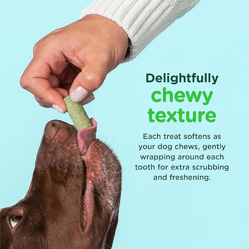 Minties FreshBites Soft and Chewy Dental Treats for Dogs, Low Calorie Natural Mint Flavored Dental Chews for Dogs, 50 Count, Chews Clean Teeth, Fight Bad Breath, and Removes Plaque and Tartar thumbnail 4