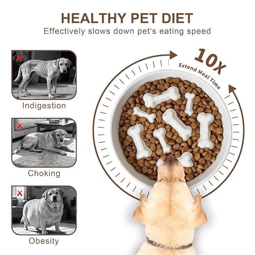 Fancy Lemon Ceramic Slow Feeder Dog Bowls, Ceramic Slow Feeder Maze Dog Food Bowl, Slow Eating Dog Bowl and Slow Feeder Dog Bowl Anti-Choking for Daily Pet Feeding （White Bone） thumbnail 3