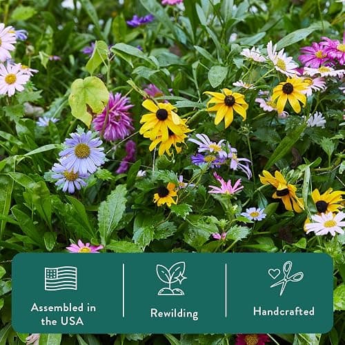 Modern Sprout Pollinator Garden Gift Set - Spring Gifts for Kids - Educational Gardening Tools for Little Gardeners - Eco-Friendly Kids Gardening Set w/Trowel, Wooden Markers & Wildflower Seeds (3-pk) thumbnail 7