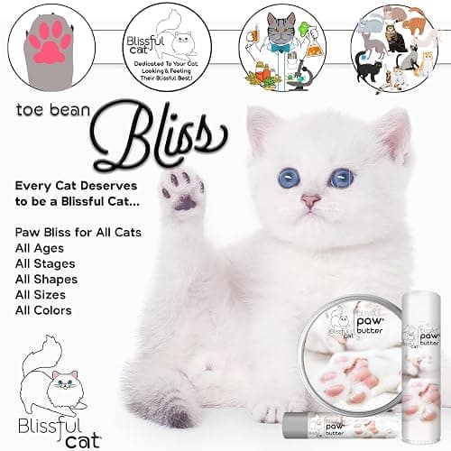 The Blissful Cat Paw Butter, Moisturizer for Dry Paw Pads, Softens and Protects Rough Feet, Versatile, Lick-Safe Balm, 0.15 oz. thumbnail 3