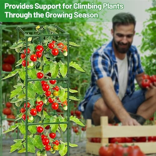 Legigo 4 Pack Square Tomato Cages- 45 Inch Heavy Duty Tomato Trellis for Climbing Plants Outdoor, Tomato Plant Support Stakes Cage Garden Trellis for Garden Raised Garden Bed Cucumbers Vegetables thumbnail 7