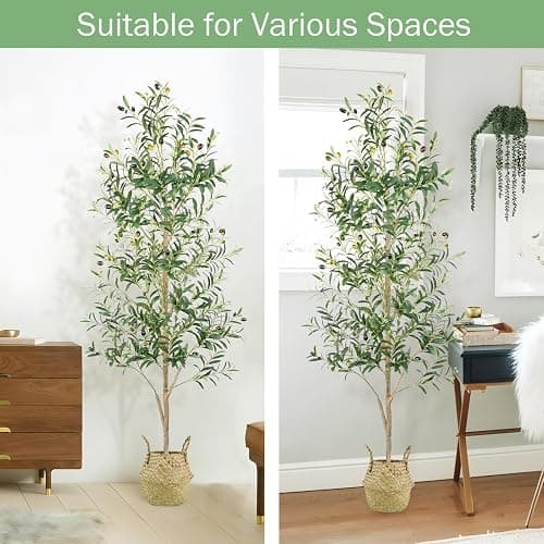 Caxchiling Faux Olive Tree 6FT, Artificial Potted Tree with Planter, Silk Plants Indoor Outdoor, Lifelike Olive Plants with Natural Wood Trunk, Fruits and Buds, Home Office Decor, 1 Pack thumbnail 7