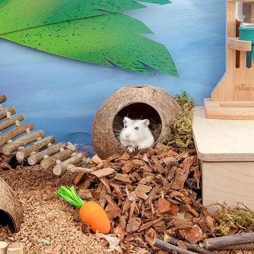 andwe Coconut Hut Hamster House Bed for Gerbils Mice Small Animal Cage Habitat Decor thumbnail 2