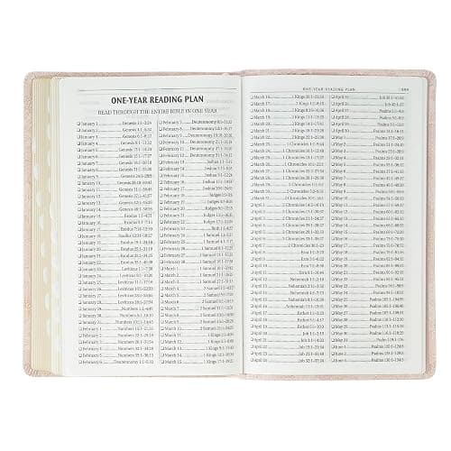 KJV Holy Bible, Deluxe Gift Bible with Thumb Tabs, Ribbon Marker, King James Version, Faux Leather, Pink thumbnail 7