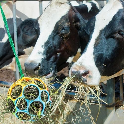 Besimple 2 Pack Horse Treat Ball Hay Feeder Toy, Goat Feeder Ball Hanging Feeding Toy for Horse Goat Sheep Relieve Stress (Colorful) thumbnail 6