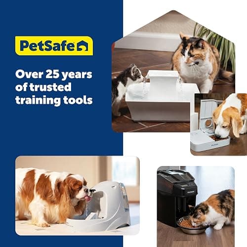 PetSafe 2-Pet Meal Splitter with Bowl - Designed for PetSafe Smart Feed and Healthy Pet Simply Feed Automatic Cat Feeder - No-Mess Food Dispensing - Includes Privacy Panel thumbnail 8