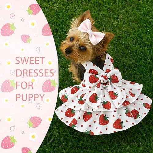 Dog Dress Bowknot Harness Leash Set for Small Dogs Red Strawberry Dog Cat Clothes Cute Puppy Outfits Pet Clothes Spring Summer Breathable Dresses(X-Samll) thumbnail 3