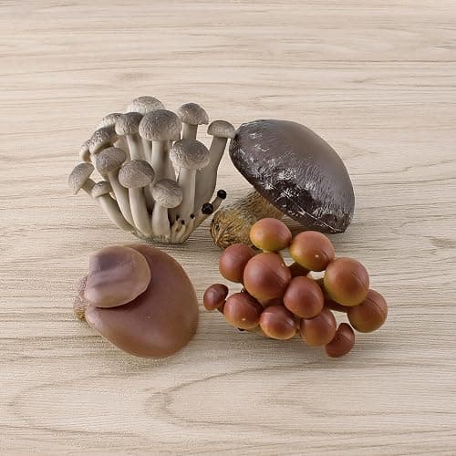 GUFOPONAS Realistic mini Life Cycle of Mushroom Figure Toy Set 4PCS Mushroom Decor for Diorama Projects Kids Birthday Gift Learning Toy thumbnail 5