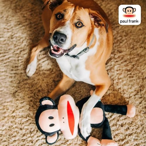 Multipet Paul Frank's Julius The Monkey Dog Plush Toy - Squeaky Toy for All Dogs - Extra Soft Plush - Stuffed Animal for Cuddling & Playing (10") thumbnail 8