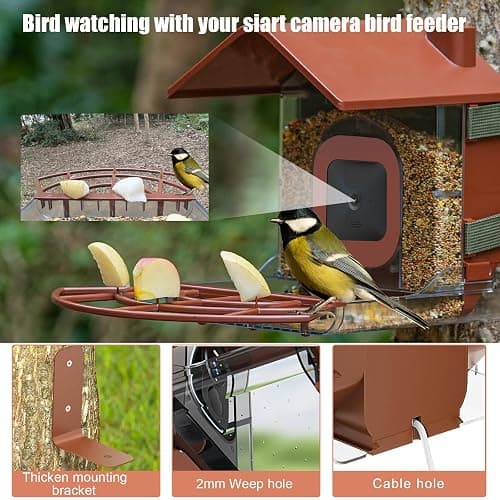 Zivif Bird Feeders for Outdoors, Compatible with Blink Outdoor Camera, Smart Bird Feeder for Watching (Camera NOT Included) thumbnail 5