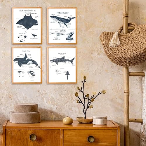 VIIJJUE Whale Shark Decor Wall Art Prints Set of 4, Shark poster, Ocean Beach Room Decor posters, Ocean Marine Life Educational Wall Art for Classroom Bathroom Living Room, 8x10 Inches Unframed thumbnail 2