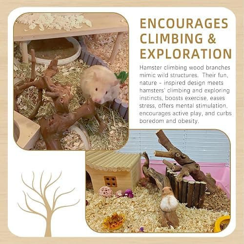 kathson 2PCS Wood Hamster Climbing Branches Decor, Natural Wooden Syrian Hamster Climb Chewing Toys, Rat Exercise Toys, Small Animal Habitat Decor Accessories for Dwarf Pets, Gerbils, Mice (5.9 in) thumbnail 6