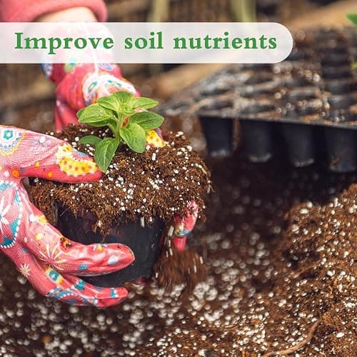 Organic Perlite for Plants, Enhances Soil Drainage and Aeration, Perfect Perlite for Plants Indoor & Outdoor, Horticultural Perlite for Gardening, Perfect for Potting Mixes, 1QT thumbnail 3