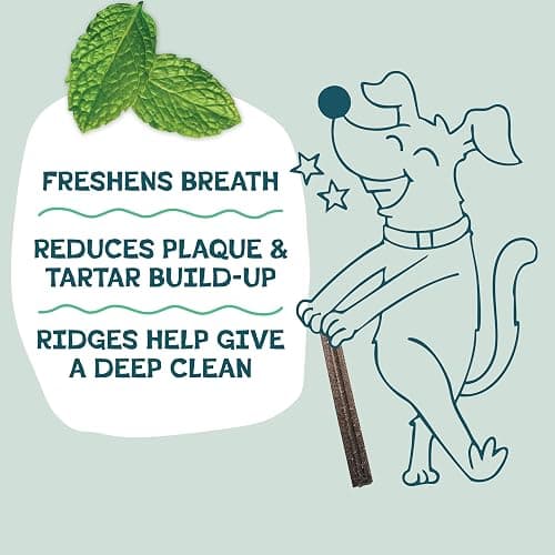 Shameless Pets Blueberry & Mint Dental Chews for Dogs, 8 Chews - Natural Dog Teeth Cleaning Treats with Fresh Breath Benefits | Grain-Free Dental Sticks for Small, Medium & Large Dogs thumbnail 4