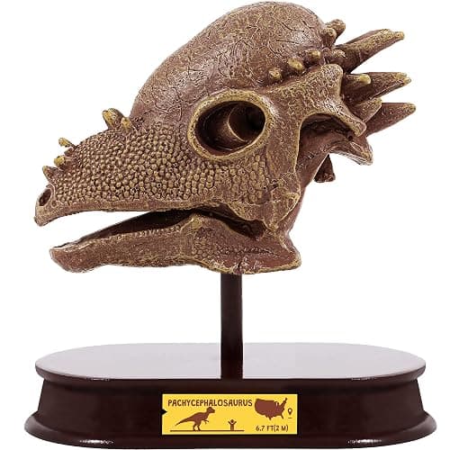 ArtCreativity Dinosaur Excavation Kit for Kids, 5.5” Pachycephalosaurs Skull Excavating Set with Fossil Digging Tools and Stand, Fun Science Activity Toy, Educational Dinosaur Gift for Boys and Girls - Image 1