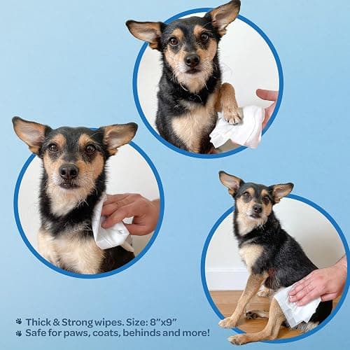 Best Pet Supplies Pet Wipes for Dogs - Dog Wipes Cleaning Deodorizing, for Coats, Ears, Paws - Moisturizing, Coconut, 100 Count thumbnail 3