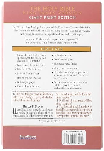 KJV Holy Bible: Blush (Light Pink), Giant Print (14 pt) – Thumb Indexed, Faux Leather, King James Version thumbnail 10