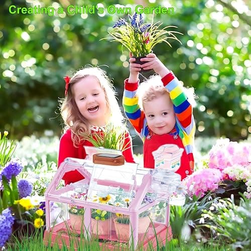 EXBEPE Kids Plant Growing Kit Greenhouse Growing Set Terrarium Kit Kids Science Educational DIY Plant Gardening Toy, Living Greenhouse with Solar Panel, Indoor Gardening Kit thumbnail 2