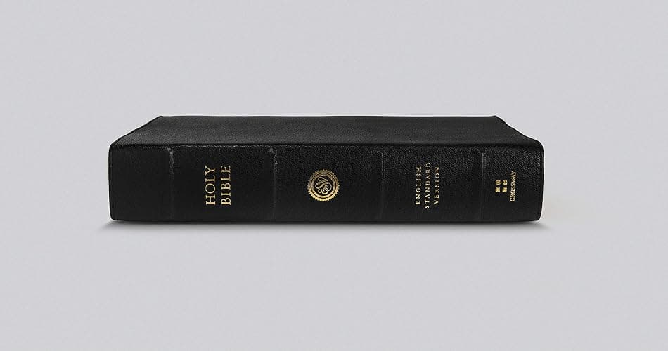 ESV Preaching Bible (Goatskin, Black) thumbnail 7