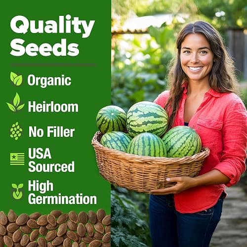 HOME GROWN Organic Crimson Sweet Watermelon Seeds 15+ Heirloom Non-GMO, High Germination, Honey Sweet Summer Fruit, Striped Skin, Home Garden & Raised Beds, High Sugar Content (Citrullus lanatus) thumbnail 2
