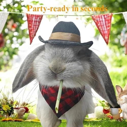 Cute Rabbit Cowboys Hat and Scarf Set, Funny Rabbits Pet Cowboy's Hat Scarf Outfits, Rabbits Dog Cat Pets Halloween Costume Hats Clothes Bunny Stuff Gifts Bunny Accessories (Black-Red Suit) thumbnail 3