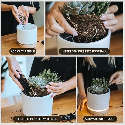 Magic Plantern® | Touch Your Plant to Turn On the Light | Planter Lamp | Unique Plant Lover Gift | Nightstand Ambient Lamp | Succulent Pot with LED thumbnail 5