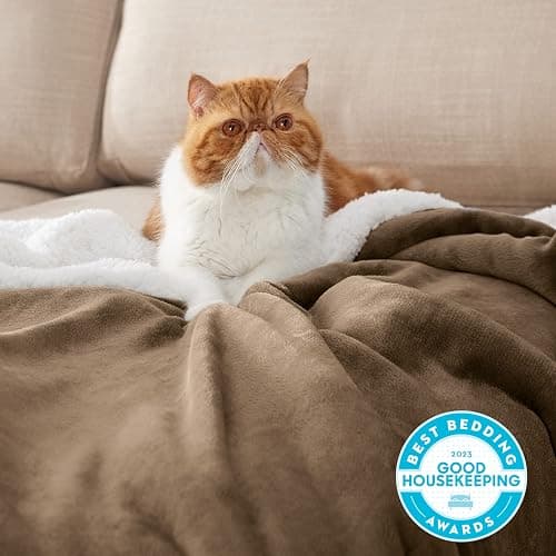 Bedsure GentleSoft Sherpa Fleece Twin Size Blanket for Couch, Non-Heated, Thick and Warm Throw for Women and Men, Soft Fuzzy Plush Twin Blanket for Winter, Camel, 60x80 Inches thumbnail 4