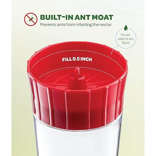 Hummingbird Feeder 10 oz Glass Hummingbird Feeders for Outdoors, with Built-in Ant Guard - Circular Perch with 5 Feeding Ports - Wide Mouth for Easy Filling/2 Part Base for Easy Cleaning thumbnail 4