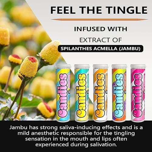 Xero Picks Candies - Infused Flavored Toothpicks (Candies Variety, 5 Pack - 100 Picks) Bubblegum, Pina Colada, Orange Creamsicle, Cotton Candy, Snow Cone and Candy Cane thumbnail 5