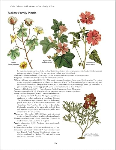 Botany in a Day: The Patterns Method of Plant Identification thumbnail 6