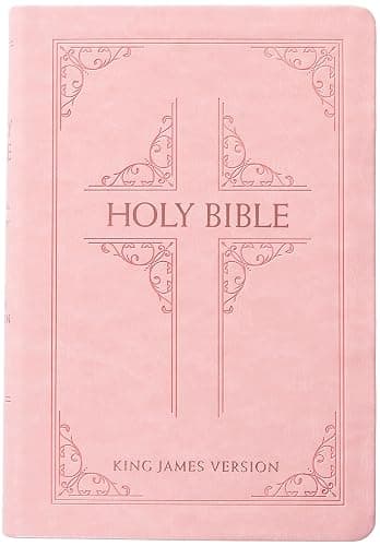 KJV Holy Bible: Blush (Light Pink), Giant Print (14 pt) – Thumb Indexed, Faux Leather, King James Version - Image 1