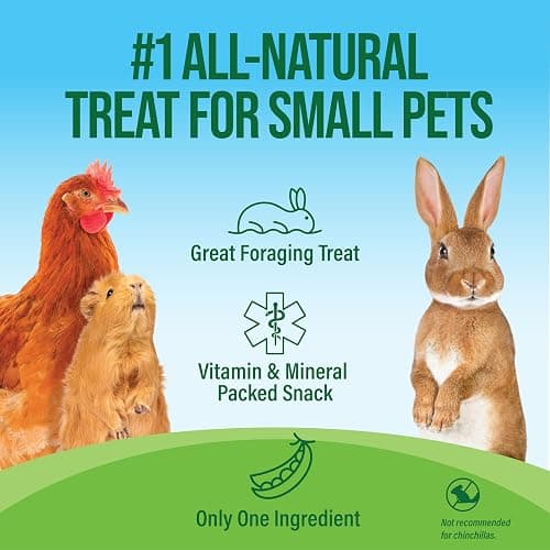 Small Pet Select - Pea Flakes, Treats for Rabbit Bunny, Guinea Pig, Chickens, Bunny, Hamster, and Other Small Pets, 1 lb thumbnail 2