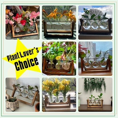 XXXFLOWER Plant Terrarium with Wooden Stand, Air Planter Bulb Glass Vase Metal Swivel Holder Retro Tabletop for Hydroponics Home Garden Office Decoration - 3 Bulb Vase thumbnail 5