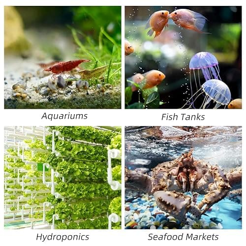 Rise Torrent Nano Air Stone with Case, Silent High-Oxygen Diffuser for Aquarium, Fish Tank & Hydroponics - 3 Inch White Small Bubble Diffuser Accessories (No Air Pump and Air Tube) thumbnail 5